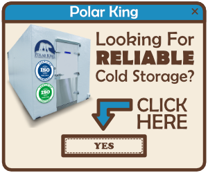 Polar King Ad