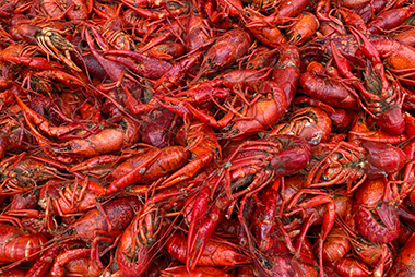 gas-station-crawfish.jpg
