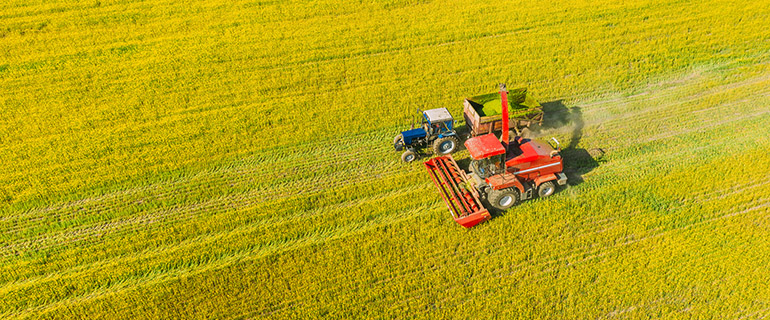 https://www.convenience.org/getmedia/01182758-2163-4811-bd05-57478f3b39e4/Canola-770x320.jpg