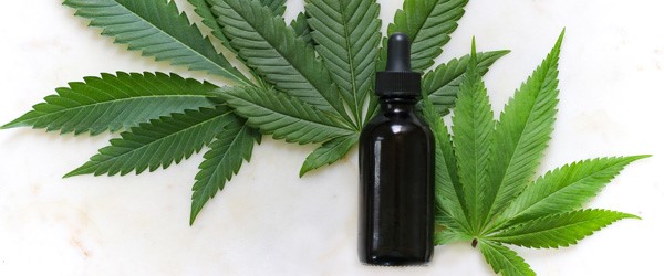 https://www.convenience.org/getmedia/042429d1-84bf-4938-98a8-b67b5c48fd5e/CBD-2-resized_770X320.jpg