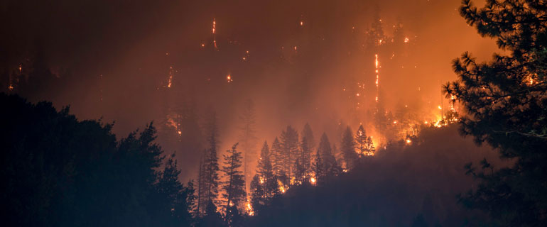 https://www.convenience.org/getmedia/5282d944-42c2-46bd-a8ab-d2b1ff30b93d/matt-howard-eAKDzK4lo4o-unsplash_770x320_wildfire.jpg