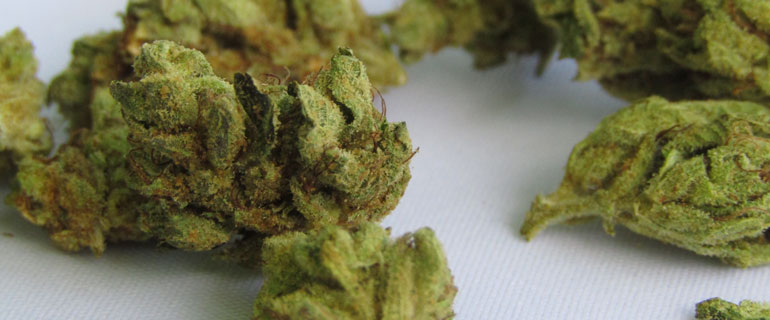 https://www.convenience.org/getmedia/591ca787-4826-4c6f-be44-53d22d59338d/ndispensable-zwc6BD4_RDE-unsplash_770x320_marijuana.jpg