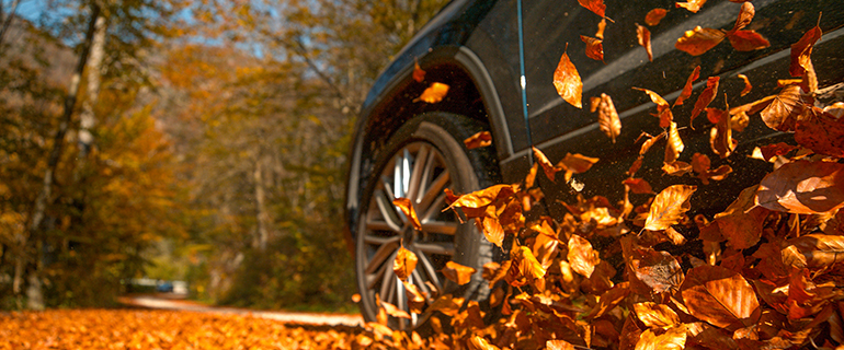 https://www.convenience.org/getmedia/70fe304e-b6ff-4c16-9d46-b5d7108d1287/fall-drive-770x320.jpg