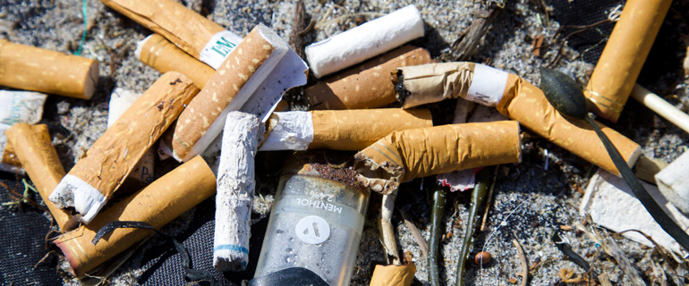 https://www.convenience.org/getmedia/7622949e-d61b-4d94-be63-aa9508b72abd/Cigarette-and-ecig-litter.jpg