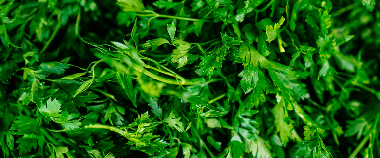 https://www.convenience.org/getmedia/7a21033c-51d9-4efb-807d-cecfdf5a31de/tom-hermans-P9X1DJK7qZ4-unsplash-770x320-greens-salad.jpg