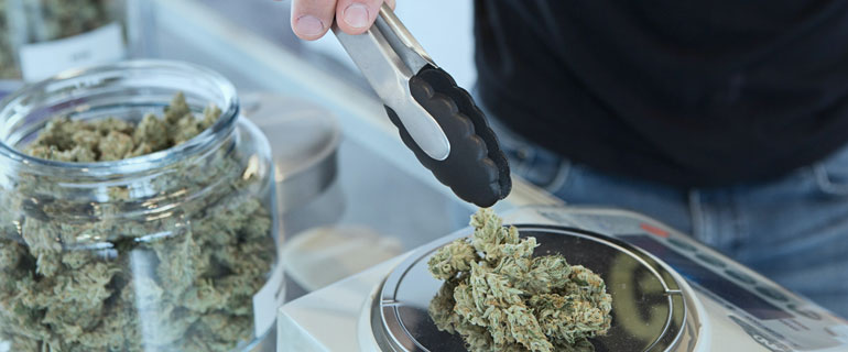 https://www.convenience.org/getmedia/9bbc7a38-5723-4060-be38-58a866d877fc/add-weed-h3PWUqxpP_0-unsplash_770x320_marijuana.jpg