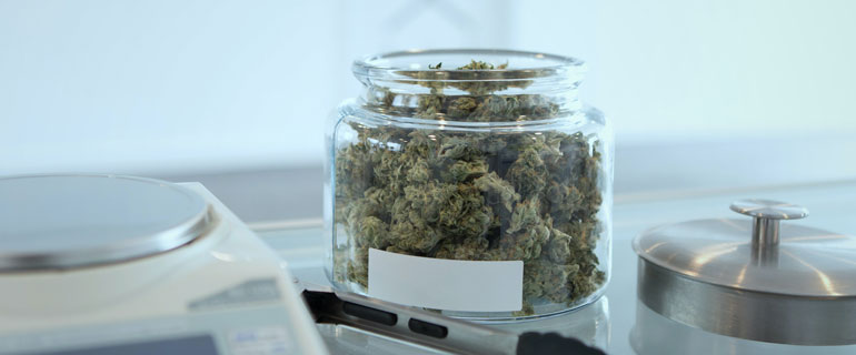 https://www.convenience.org/getmedia/a9250fc0-194d-40a0-9e5a-7f98b5ec13e9/add-weed-tFkScFEdh7c-unsplash-770x320-cannabis.jpg