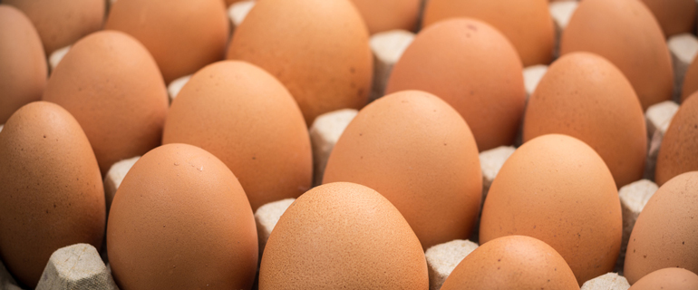 https://www.convenience.org/getmedia/b28f10fd-0991-47d0-8c77-28d66fc799f6/cage-free-eggs_alimentation-couche-tard_circle-k_foodservice.jpg