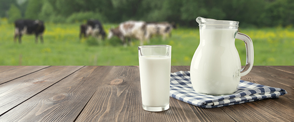https://www.convenience.org/getmedia/bd0a972e-b4b7-4efe-9b3a-8e12a76a8a6e/Milk-cover.jpg