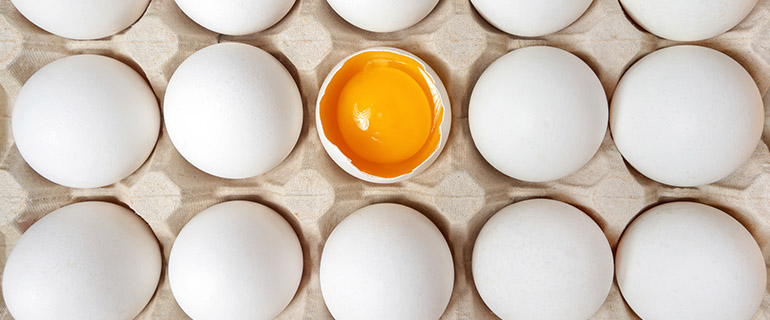 https://www.convenience.org/getmedia/c3c11e90-a91f-42fb-912d-40a514f888c6/Eggs770x320.jpg