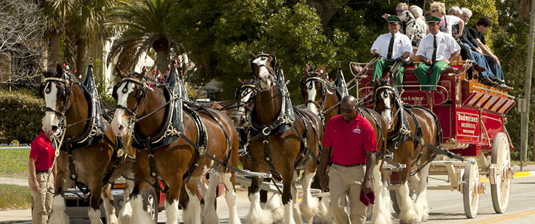 https://www.convenience.org/getmedia/e6ef16c5-47c7-4561-ba2d-1e6d406692ff/budweiser-clydesdales-770x320.jpg