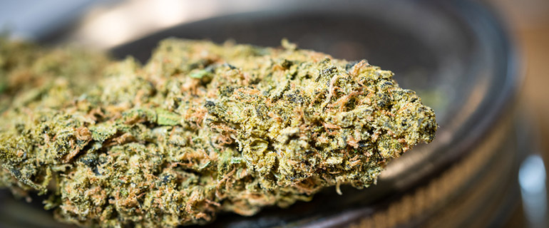 https://www.convenience.org/getmedia/e8f19b6a-bfdc-419b-b587-2e5d6c1bac74/ND120122_3_Cannabis.jpg